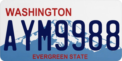WA license plate AYM9988