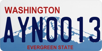 WA license plate AYN0013