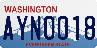 WA license plate AYN0018