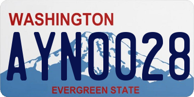 WA license plate AYN0028