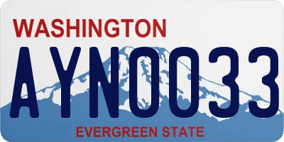 WA license plate AYN0033