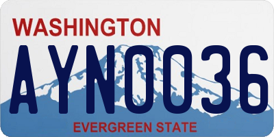 WA license plate AYN0036