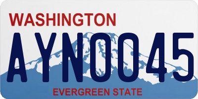 WA license plate AYN0045