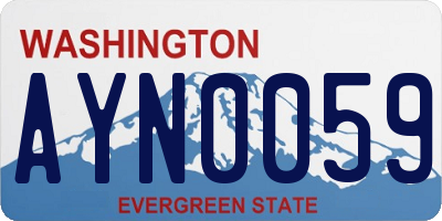 WA license plate AYN0059