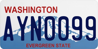 WA license plate AYN0099