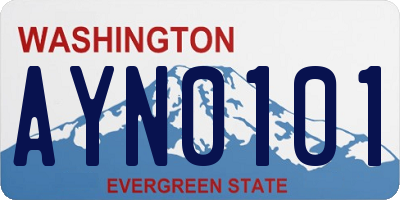 WA license plate AYN0101