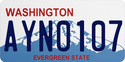 WA license plate AYN0107