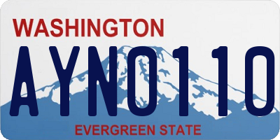 WA license plate AYN0110