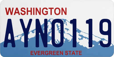 WA license plate AYN0119