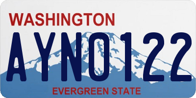 WA license plate AYN0122
