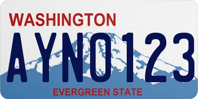 WA license plate AYN0123