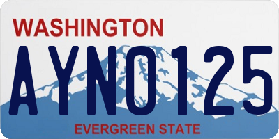 WA license plate AYN0125