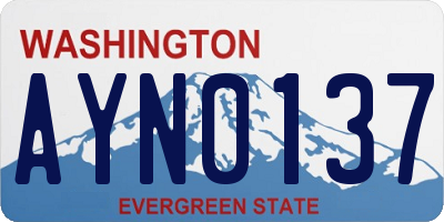 WA license plate AYN0137