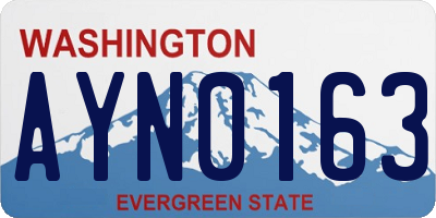 WA license plate AYN0163