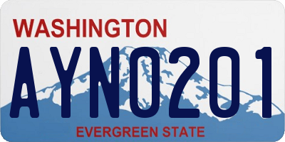 WA license plate AYN0201