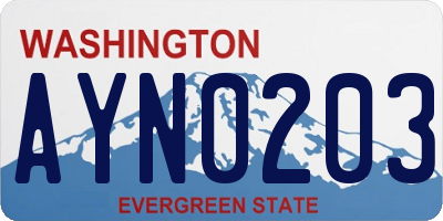 WA license plate AYN0203