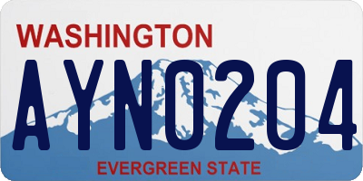 WA license plate AYN0204