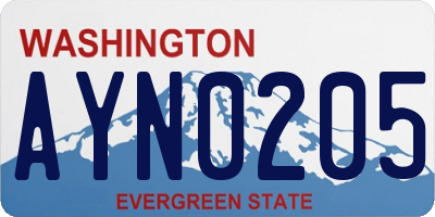 WA license plate AYN0205