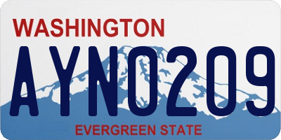 WA license plate AYN0209