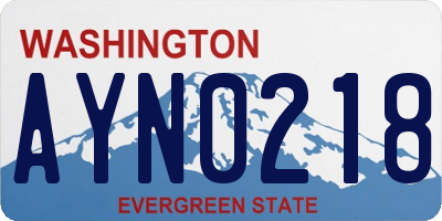 WA license plate AYN0218