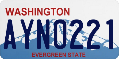 WA license plate AYN0221