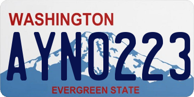 WA license plate AYN0223