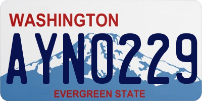 WA license plate AYN0229