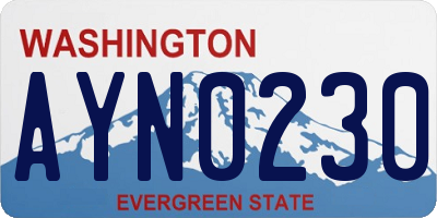 WA license plate AYN0230