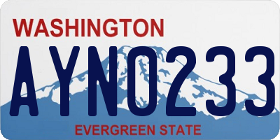 WA license plate AYN0233