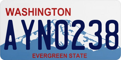 WA license plate AYN0238
