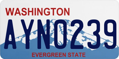 WA license plate AYN0239