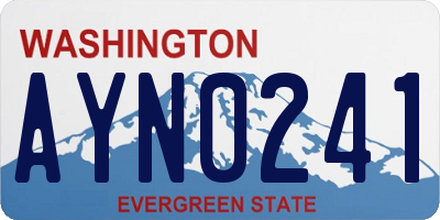 WA license plate AYN0241