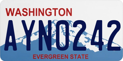 WA license plate AYN0242