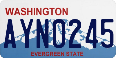 WA license plate AYN0245
