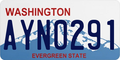 WA license plate AYN0291