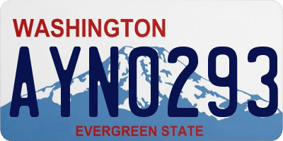 WA license plate AYN0293