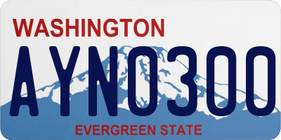 WA license plate AYN0300