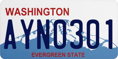 WA license plate AYN0301