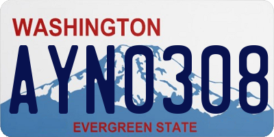 WA license plate AYN0308