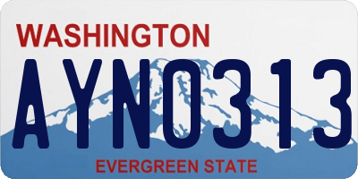 WA license plate AYN0313