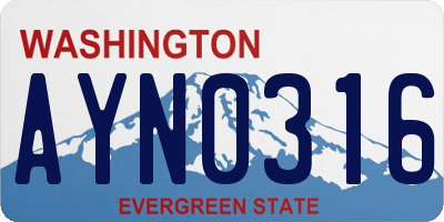 WA license plate AYN0316