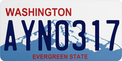 WA license plate AYN0317