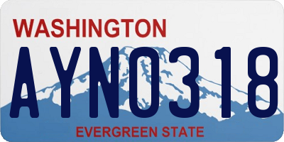 WA license plate AYN0318