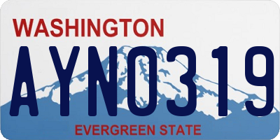 WA license plate AYN0319
