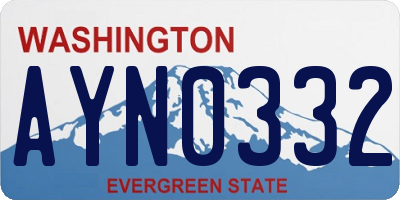 WA license plate AYN0332