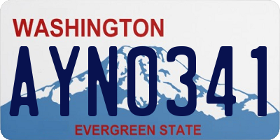 WA license plate AYN0341