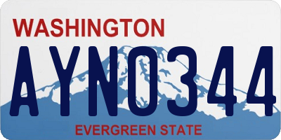 WA license plate AYN0344