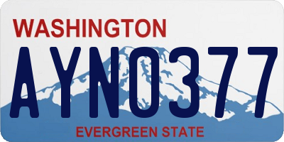 WA license plate AYN0377