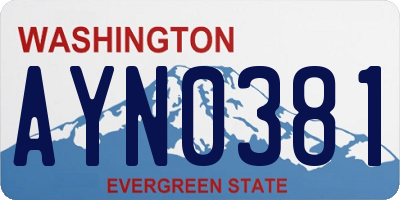 WA license plate AYN0381
