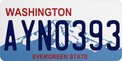 WA license plate AYN0393